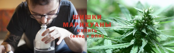 крисы Пересвет